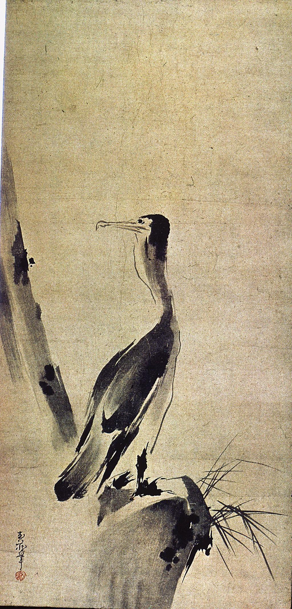 Cormorant